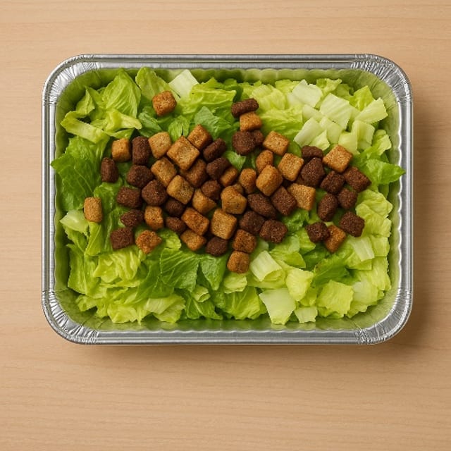 Caesar Salad.